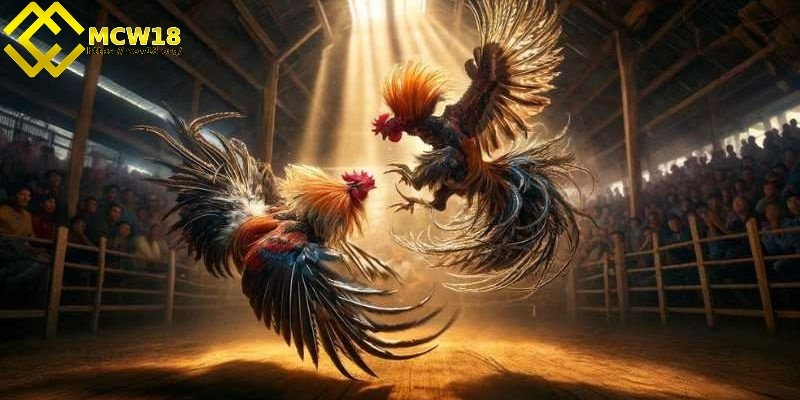 Tài năng và chiến thuật của các sư kê trong trận gà 15 tỷ